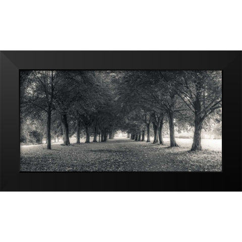 Pathway through trees in forest Black Modern Wood Framed Art Print by Frank, Assaf