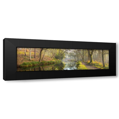 Varieties of spices in a wooden box Black Modern Wood Framed Art Print with Double Matting by Frank, Assaf