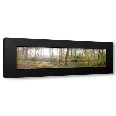 Canal through forest in countryside Black Modern Wood Framed Art Print with Double Matting by Frank, Assaf
