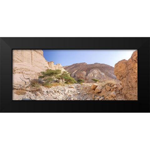 Negev Desert-Israel Black Modern Wood Framed Art Print by Frank, Assaf
