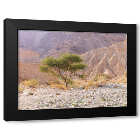 Negev Desert-Israel Black Modern Wood Framed Art Print by Frank, Assaf