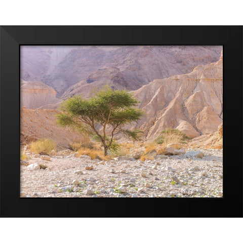 Negev Desert-Israel Black Modern Wood Framed Art Print by Frank, Assaf