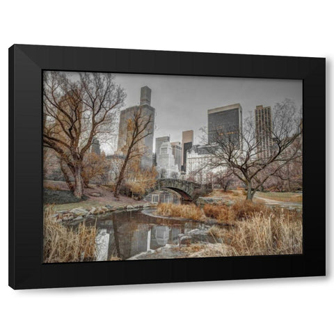 Central park and Manhattan skyline, New York Black Modern Wood Framed Art Print with Double Matting by Frank, Assaf