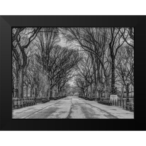 Pathway through Central park, New York Black Modern Wood Framed Art Print by Frank, Assaf