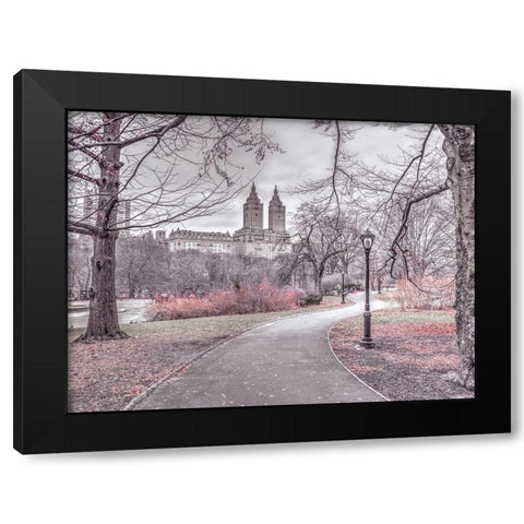 Pathway through Central park-New York Black Modern Wood Framed Art Print with Double Matting by Frank, Assaf