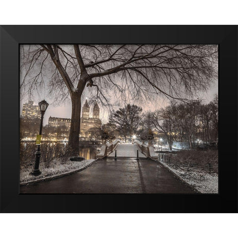 Evening view of Central park-New York Black Modern Wood Framed Art Print by Frank, Assaf