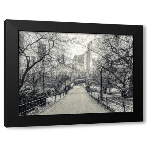 Pathway through Central park, New York Black Modern Wood Framed Art Print with Double Matting by Frank, Assaf