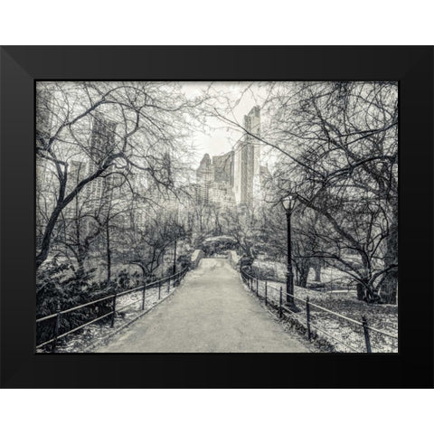 Pathway through Central park, New York Black Modern Wood Framed Art Print by Frank, Assaf