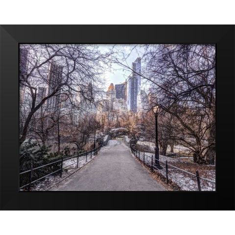 Pathway through Central park, New York Black Modern Wood Framed Art Print by Frank, Assaf