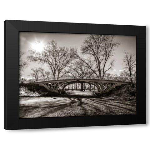 Walkway bridge in Central park, New York, FTBR-1921 Black Modern Wood Framed Art Print with Double Matting by Frank, Assaf