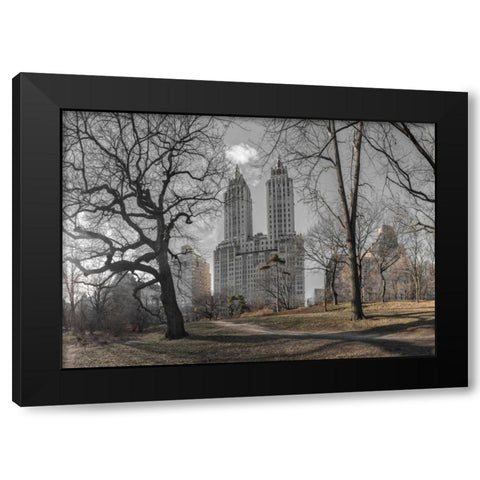 Lower Manhattan cityscape from Central park, New York Black Modern Wood Framed Art Print by Frank, Assaf