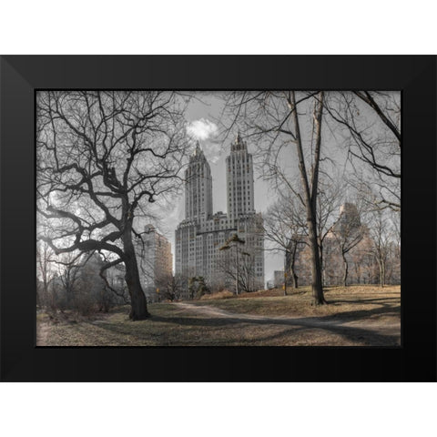 Lower Manhattan cityscape from Central park, New York Black Modern Wood Framed Art Print by Frank, Assaf
