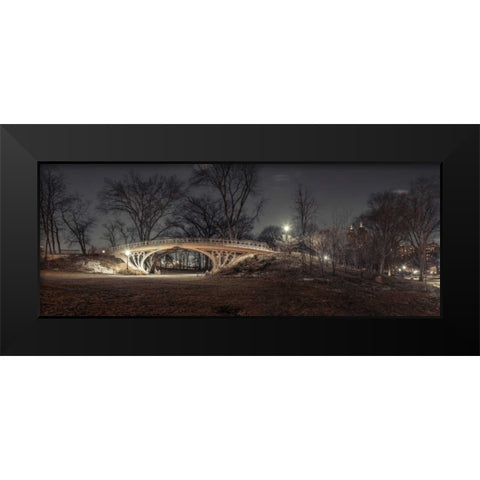 Central park in evening, New York Black Modern Wood Framed Art Print by Frank, Assaf