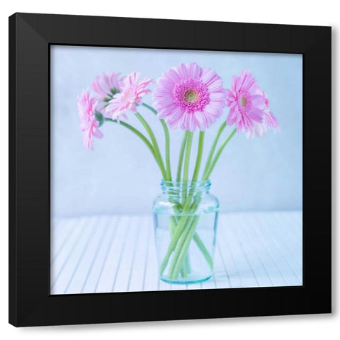 White Daisies in studio Black Modern Wood Framed Art Print by Frank, Assaf