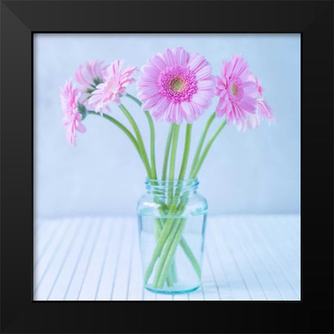White Daisies in studio Black Modern Wood Framed Art Print by Frank, Assaf