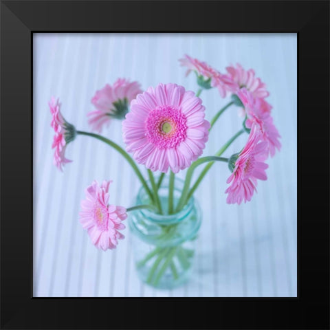 White Daisies in studio Black Modern Wood Framed Art Print by Frank, Assaf