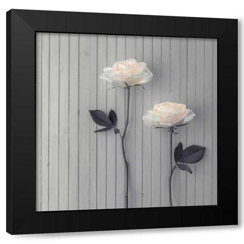 Roses in a row on table Black Modern Wood Framed Art Print with Double Matting by Frank, Assaf