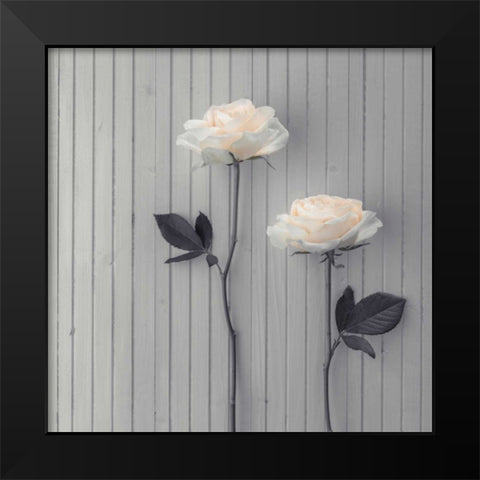 Roses in a row on table Black Modern Wood Framed Art Print by Frank, Assaf