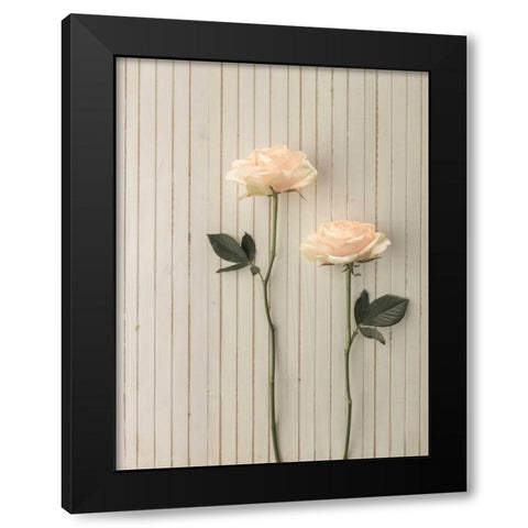 Roses in a row on table Black Modern Wood Framed Art Print with Double Matting by Frank, Assaf