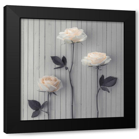 Roses in a row on table Black Modern Wood Framed Art Print by Frank, Assaf