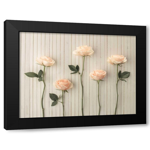 Roses in a row on table Black Modern Wood Framed Art Print with Double Matting by Frank, Assaf