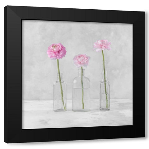 Tulips in glass bottles Black Modern Wood Framed Art Print with Double Matting by Frank, Assaf