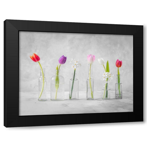Ranuncuclus flowers in glass bottles Black Modern Wood Framed Art Print with Double Matting by Frank, Assaf