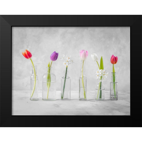 Ranuncuclus flowers in glass bottles Black Modern Wood Framed Art Print by Frank, Assaf