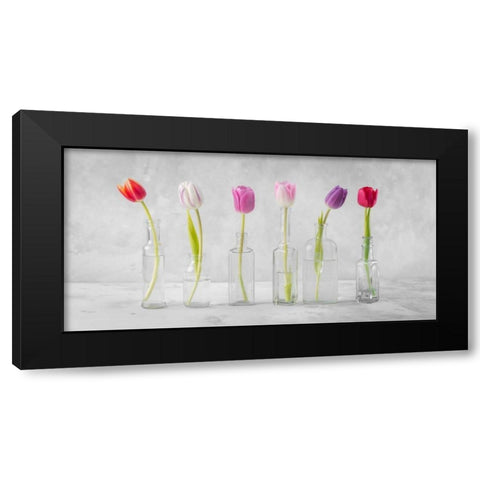 Ranuncuclus flowers in glass bottles Black Modern Wood Framed Art Print by Frank, Assaf