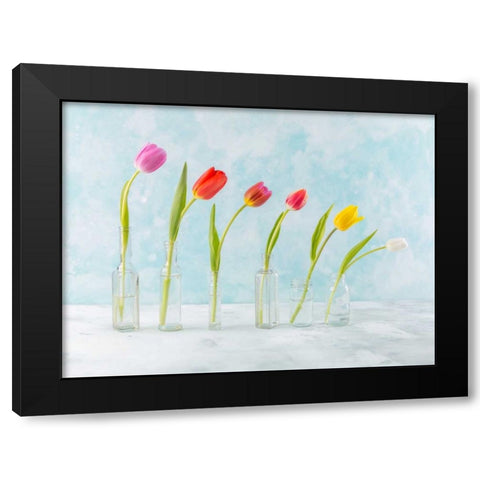 Ranuncuclus flowers in glass bottles Black Modern Wood Framed Art Print by Frank, Assaf