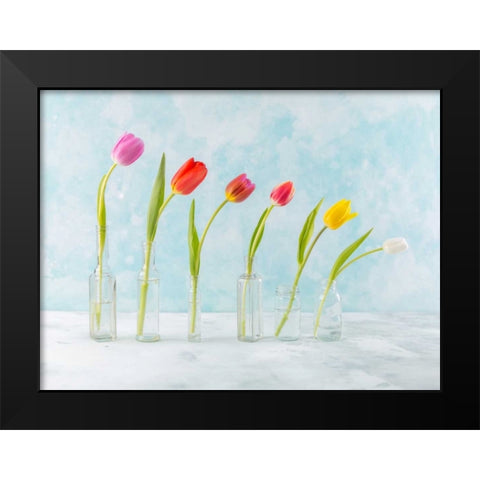 Ranuncuclus flowers in glass bottles Black Modern Wood Framed Art Print by Frank, Assaf