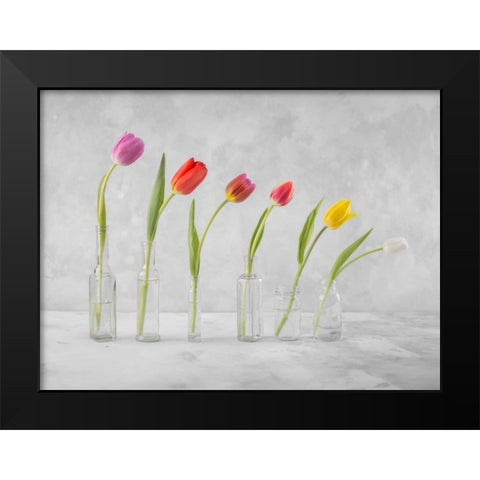 Ranuncuclus flowers in glass bottles Black Modern Wood Framed Art Print by Frank, Assaf