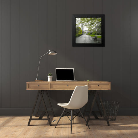St James Park, London Black Modern Wood Framed Art Print by Frank, Assaf