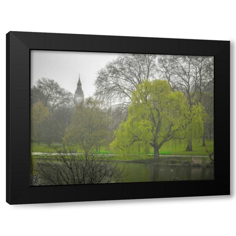 St James Park, London Black Modern Wood Framed Art Print with Double Matting by Frank, Assaf