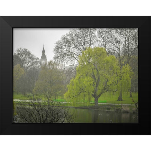 St James Park, London Black Modern Wood Framed Art Print by Frank, Assaf