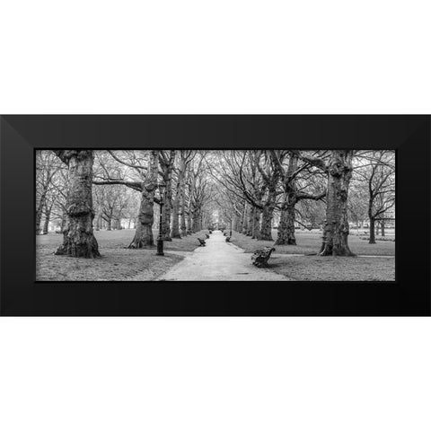 Avenue of trees, Green Park, London, FTBR-1839 Black Modern Wood Framed Art Print by Frank, Assaf