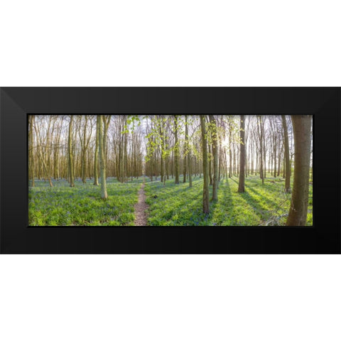 Spring forest with tall trees Black Modern Wood Framed Art Print by Frank, Assaf