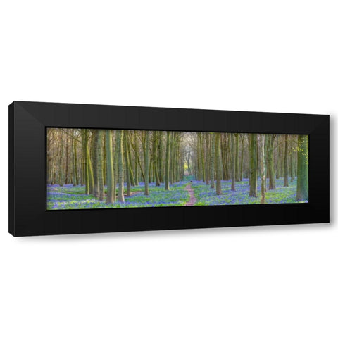 Spring forest with tall trees Black Modern Wood Framed Art Print by Frank, Assaf
