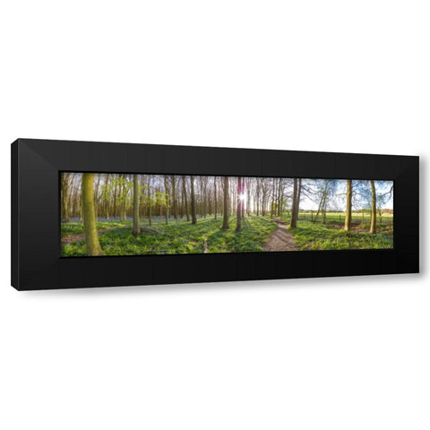 Spring forest with tall trees Black Modern Wood Framed Art Print with Double Matting by Frank, Assaf