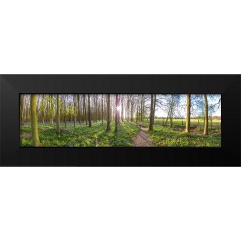 Spring forest with tall trees Black Modern Wood Framed Art Print by Frank, Assaf