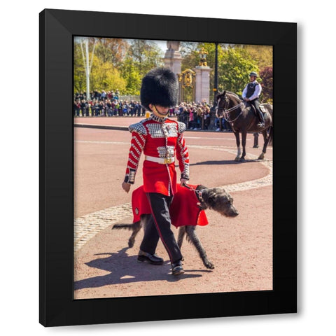 Changing the Guard, Buckingham Palace, London Black Modern Wood Framed Art Print with Double Matting by Frank, Assaf
