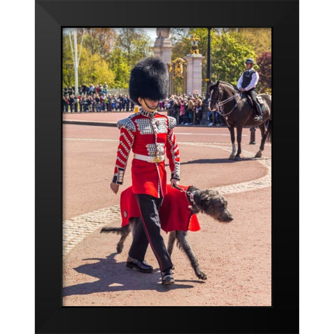 Changing the Guard, Buckingham Palace, London Black Modern Wood Framed Art Print by Frank, Assaf