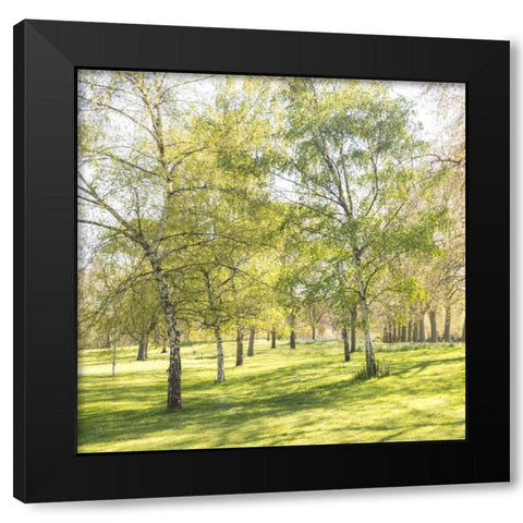 Changing the Guard, Buckingham Palace, London Black Modern Wood Framed Art Print by Frank, Assaf