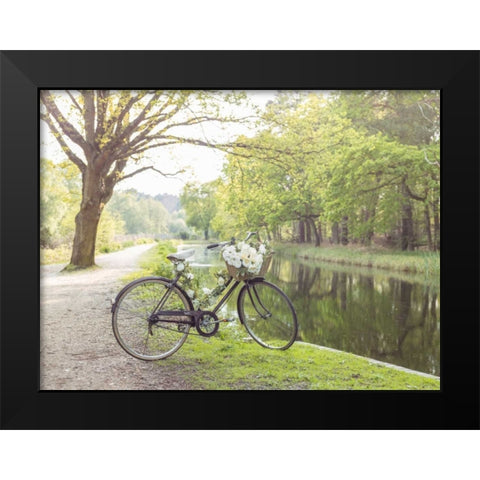 Variety of pulses in a wooden box Black Modern Wood Framed Art Print by Frank, Assaf