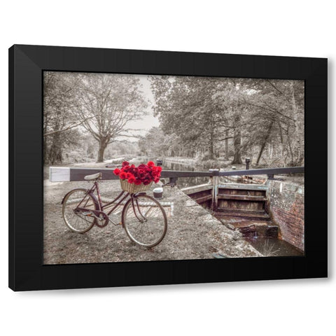 Bicycle with bunch of white roses by the canal Black Modern Wood Framed Art Print by Frank, Assaf