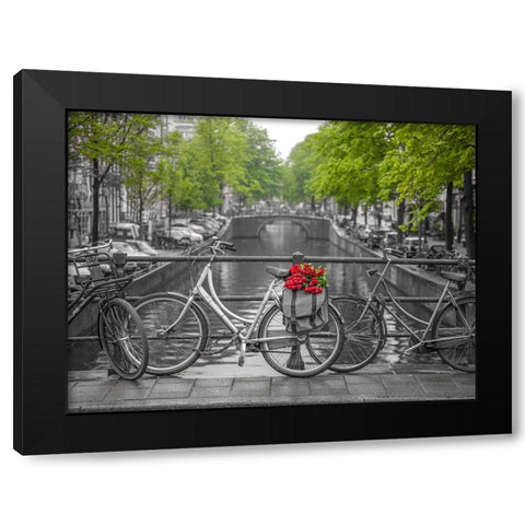 Bicycle with bunch of flowers by the canal, Amsterdam Black Modern Wood Framed Art Print with Double Matting by Frank, Assaf