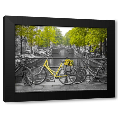 Bicycle with bunch of flowers by the canal, Amsterdam Black Modern Wood Framed Art Print with Double Matting by Frank, Assaf