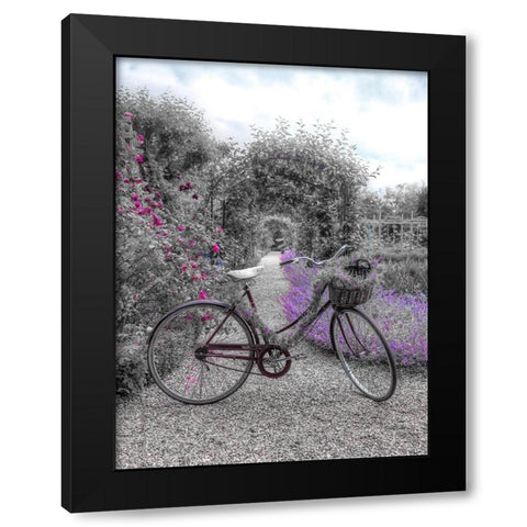 Bicycle on a garden path Black Modern Wood Framed Art Print with Double Matting by Frank, Assaf