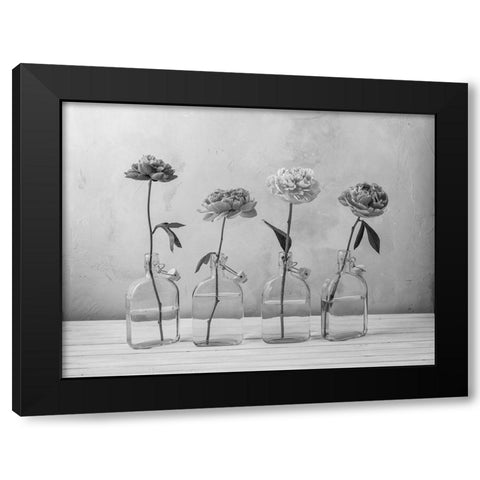 Peonies in glass bottles Black Modern Wood Framed Art Print by Frank, Assaf