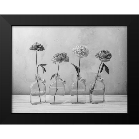 Peonies in glass bottles Black Modern Wood Framed Art Print by Frank, Assaf